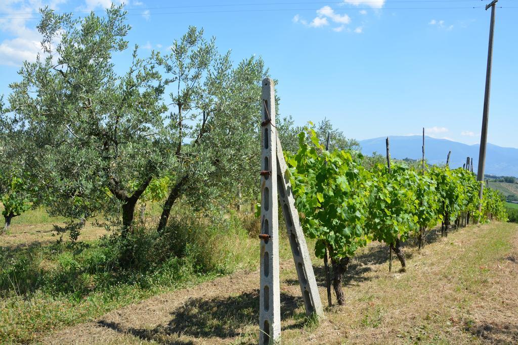 Casale Fusco Villa Spoleto Exterior photo